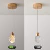 CHWDA24816 Pendant Fixtures Restaurants Bedrooms - Image 5