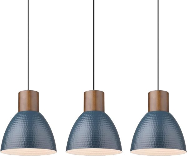 CHWDA24819 Hammered Fixtures Adjustable Industrial