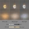 CHWDA24816 Pendant Fixtures Restaurants Bedrooms - Image 2