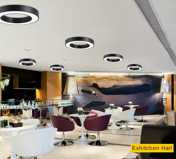 CHWDA24867 60W Aluminum Profile Interior Designer Round Pendant Lamp - Image 3